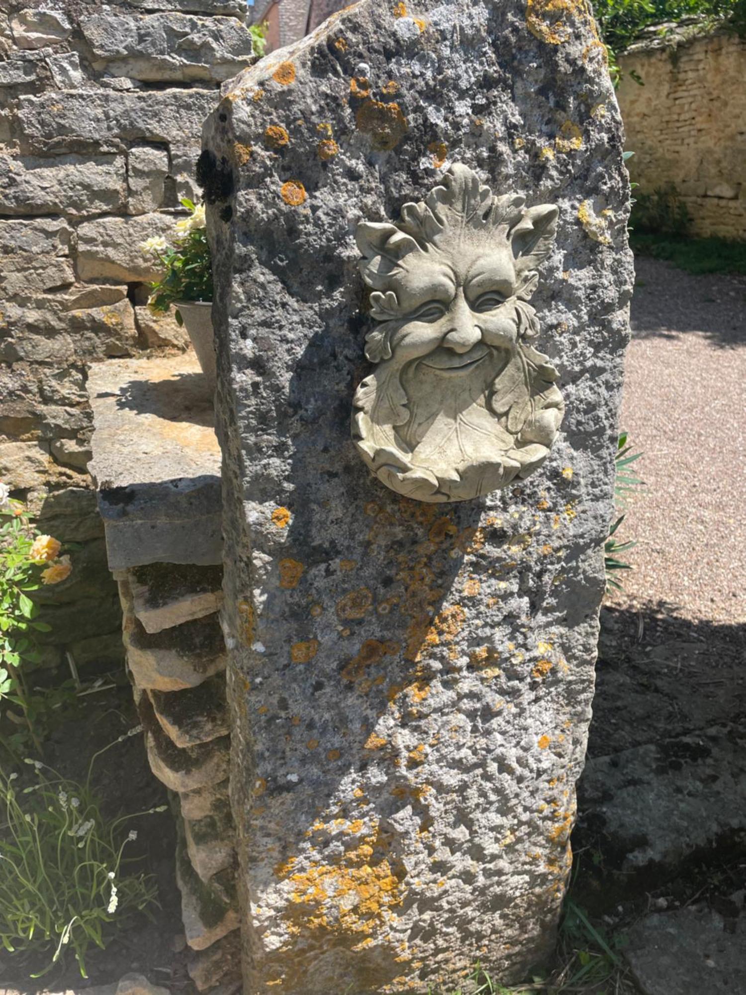 Au Lavoir Hotell Fontaine-Française Exteriör bild